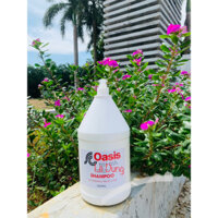 CAN DẦU GỘI OASIS 5000ml
