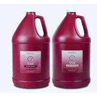 Can Dầu gội xả phục hồi tóc SNAIL SOPHIA PROFESSIONAL 3785ml