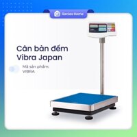 Cân đếm điện tử Cân bàn điện tử 100kg 300kg 500kg 50kg cân trọng lượng kỹ thuật VIBRA SHINKO Nhật Bản