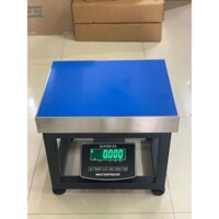 Cân điện tử 100kg 150kg 200kg 300kg 500kg chống nước cân gà vịt ngoài trời