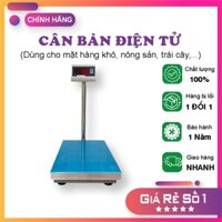 Cân Điện Tử 100kg T7E