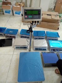 Cân điện tử 300 kg