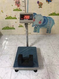 Cân điện tử 300 kg