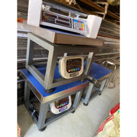 cân điện tử 300kg