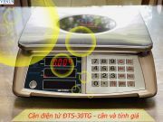 Cân điện tử Đại Thành ĐTS-30TG