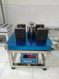 Cân điện tử ghế ngồi 120 kg