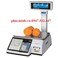 Cân điện tử, in tem nhãn CAS CL3000