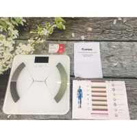 Cân Điện Tử Rapido RSF01 -S