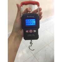 Cân móc treo điện tử cầm tay_50kg/10g_WH A23 có chốt số_dùng cân hàng hóa.
