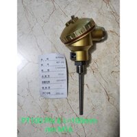 Can nhiệt, Cảm biến nhiệt PT100 phi 6, Phi 8