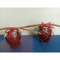 cần rượu cần hòa bình nhà làm men lá cây