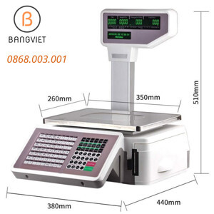Cân siêu thị in tem nhãn mã vạch TM-A 30kg