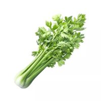 Cần tây Đà Lạt gói 500g (1 Gói)