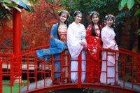 [CẦN THƠ 4N3Đ] Khám Phá Vườn Trái Cây Cần Thơ - Phiêu Lưu Bắc Đảo Mũi Hàm Rồng Xe Ghế Nằm Vip Cao Cấp 26 Ghế