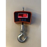 Cân treo 1 tấn OCS Crane Scale nhập khẩu giá rẻ