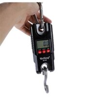 CÂN TREO 300kg NHẬP KHẨU, CÂN ĐIỆN TỬ GIÁ RẺ