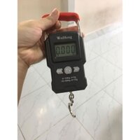 Cân treo điện tử Mini Loại cầm tay 50kg - cân hàng hóa