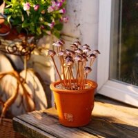 Canamek Nấm Kim Loại Sân Vườn Cọc Hoa Trang Trí Hoàn Hảo Cho Trang Trí Ngoài Trời Và Thêm Vào Kim Loại Hoa Trang Trí CSF