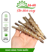 Càng Cua Sừng Soán Ốc Màu Nưa - Dụng Cụ Day Ấn Huyệt Bằng Sừng