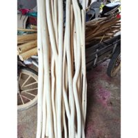 cành cây khô gỗ tự nhiên chuyên  làm macrame combo 10 cành