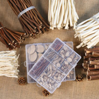 Cành cây khô kèm hộp trang trí nhà cửa