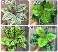 Cành điểm trang trí – Phụ kiện decor tường, cây giả, bể cá, tiểu cảnh siêu xinh