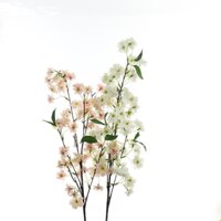 cành hoa anh đào vải cao cấp - hoa anh đào - XIN