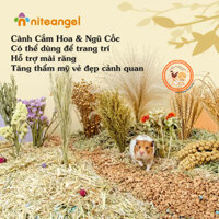 Cành hoa cắm cành Niteangel cho chuột hamster mini,bear,thú nhỏ,dùng để trang trí chuồng,hỗ trợ mài răng,tăng cảnh quan