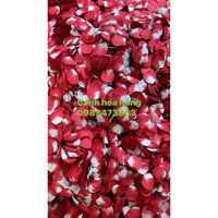 cánh hoa hồng giấy