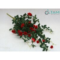 Cành hoa hồng rũ hoa giả số 66 TTTM