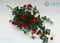 Cành hoa hồng rũ hoa giả số 66