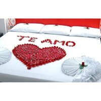 cánh hoa hồng trải giường cưới, xếp hình yêu thương combo 10 gói 1000 cánh