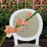 CÀNH HOA LAY ƠN LỤA ẨM (Cam)