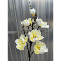 cành hoa mộc Lan xốp