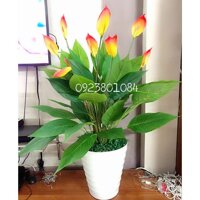 Cành Lan Ý cao cấp cao 90 cm giống thật- Cây Giả