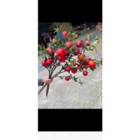 Cành lựu nhập