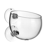 Cảnh quan bể cá cốc trồng cây thủy sinh treo tường trồng cây thủy sinh treo tường trồng cây thủy si