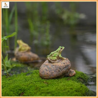 Cảnh quan bể cá/nhựa trên đá mô phỏng ếch/núi giả làm vườn, cây cảnh hoa, cảnh quan vi mô/trang trí động vật