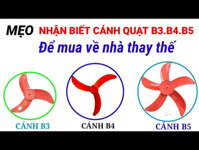 Cánh quạt B3-B4-B5