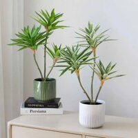 Cành thủy trúc 3 - 5 nhánh giả decor trang trí nhà cửa, cửa hàng