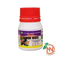 CANON 100SL – Thuốc Đặc Trị Bọ Trĩ