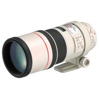 Canon EF 300mm f/4L IS USM