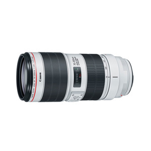 Canon EF 70-200mm f/2.8L IS III USM