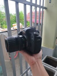 Canon EOS 5D mark II ( kèm lens EF 80 200mm) đã qua sử dụng