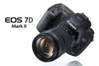 Canon EOS 7D Mark II: Vua Tốc Độ APS-C Giá Rẻ