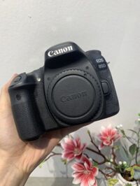 Canon EOS 80D – 2ND #1373