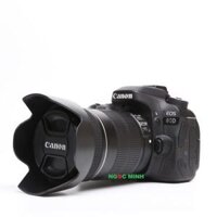 Canon EOS 80D + EF-S18-135mm f/3.5-5.6 IS STM (95%)