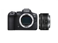 Canon EOS R6 Mark II - (Kèm Lens Canon RF 50mm f/1.8 STM) Chính hãng