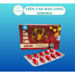 Cao ban long Siberia loại hộp 100g (Cao nhung hươu)