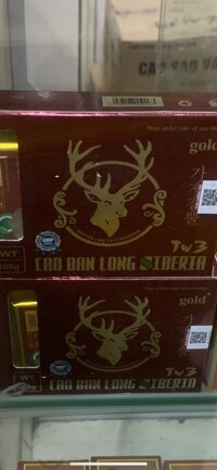 Cao Ban Long Siberia Tw3